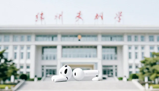 项目执行管理:性能与适用条件的取舍