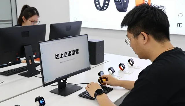 项目执行管理满足现代企业发展需求